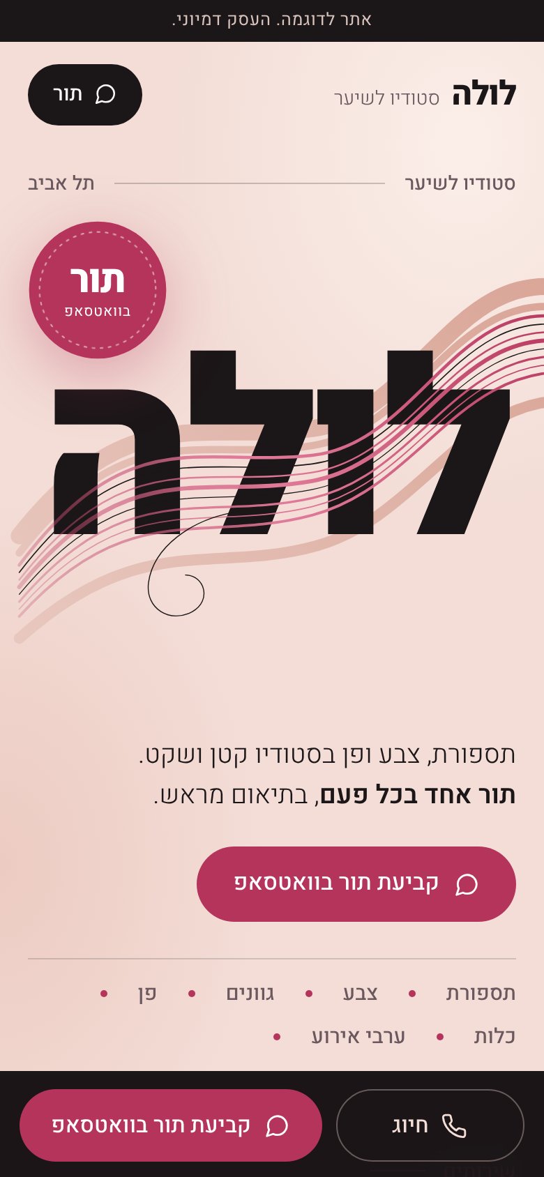 המסך הראשון של האתר לדוגמה סטודיו לולה